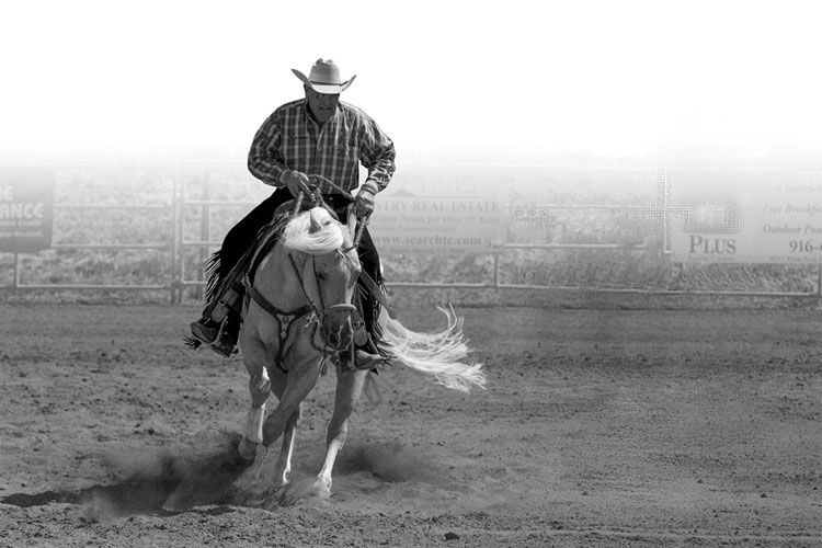 to Steve Guitron's Custom Rawhide website