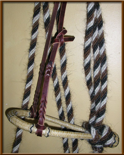 Special 8   12 Plait Hackamore Set - 