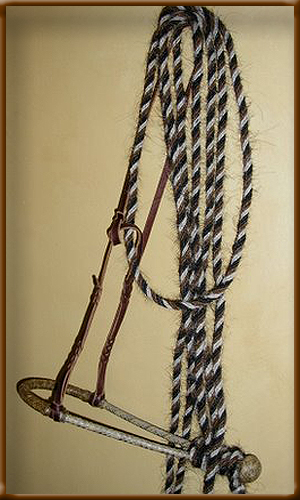 2 Rein Hackamore Set - BHH