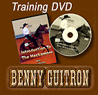 Training DVD by Benny Guitron - BDVD